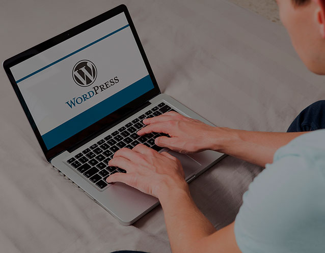 WordPress website creation